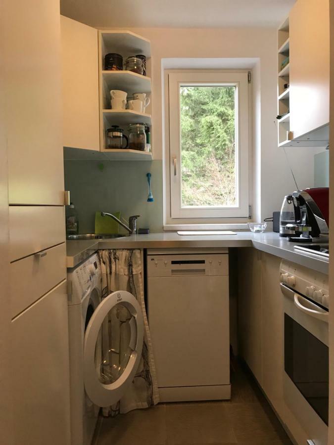 Apartment Gisi Innsbruck Extérieur photo